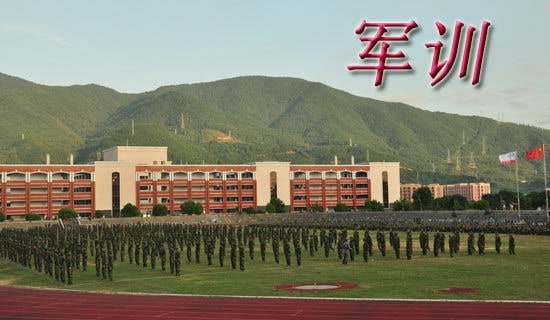 軍訓感受的作文