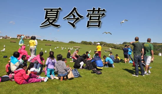 ����(sh��)�á���˼����I(y��ng)���(d��ng)���Y(ji��)