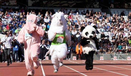 2015���＾��\(y��n)��(d��ng)��(hu��)�I�乤���R��(b��o)