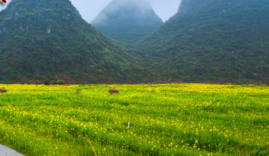 小學生春游活動方案實用(12篇)